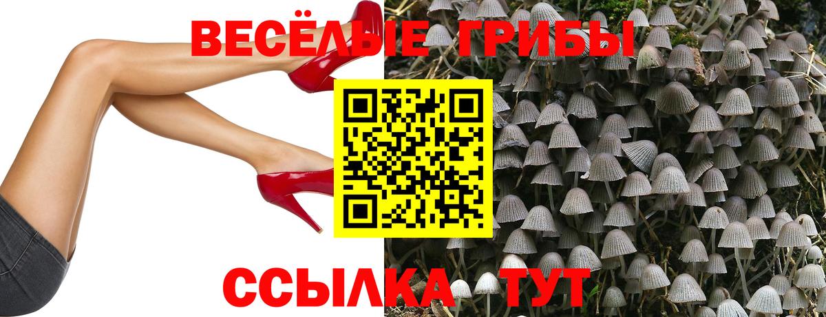 Галлюциногенные грибы Psilocybine cubensis Карталы