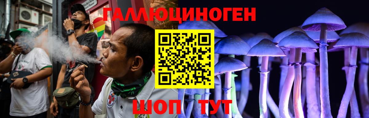 хочу   Галлюциногенные грибы мицелий  Вход с VPN  Псилоцибиновые грибы мухоморы  Карталы 